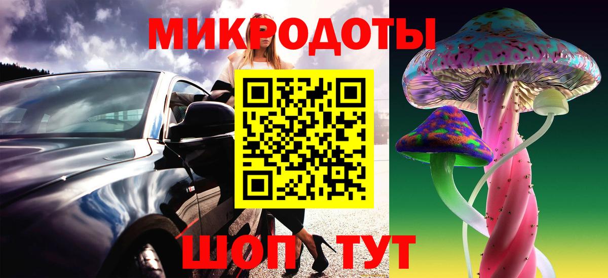где купить наркотик  Псилоцибиновые грибы GOLDEN TEACHER  Волгоград  Вход с VPN  Псилоцибиновые грибы Psilocybine cubensis 