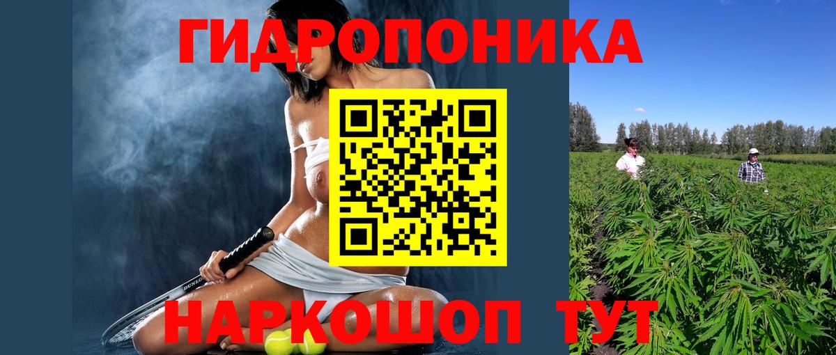 Бошки марихуана тримм  Каннабис SATIVA & INDICA  Каннабис семена  Волгоград  Вход с VPN 